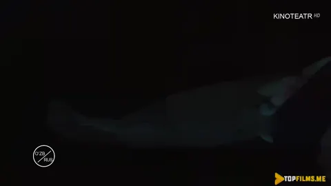 Qism 11
