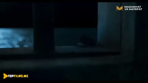 Qism 1