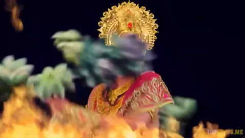 Qism 43