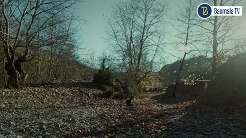 Qism 198