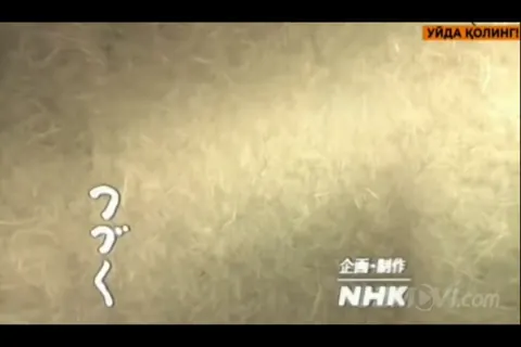Qism 55