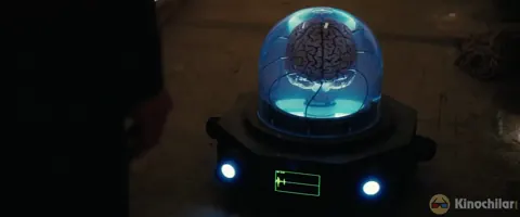 Qism 8