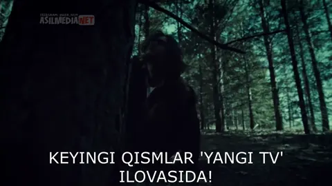 Qism 33