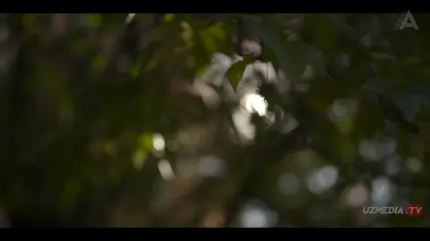 Qism 1