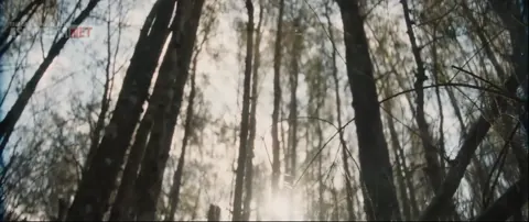 Qism 4
