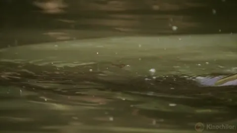 Qism 1