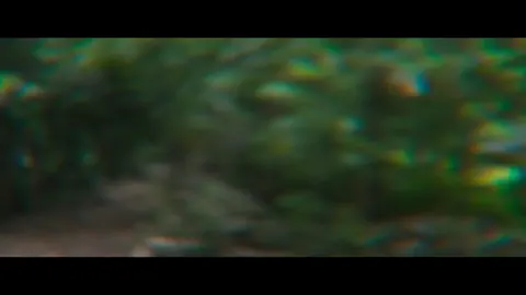 Qism 11