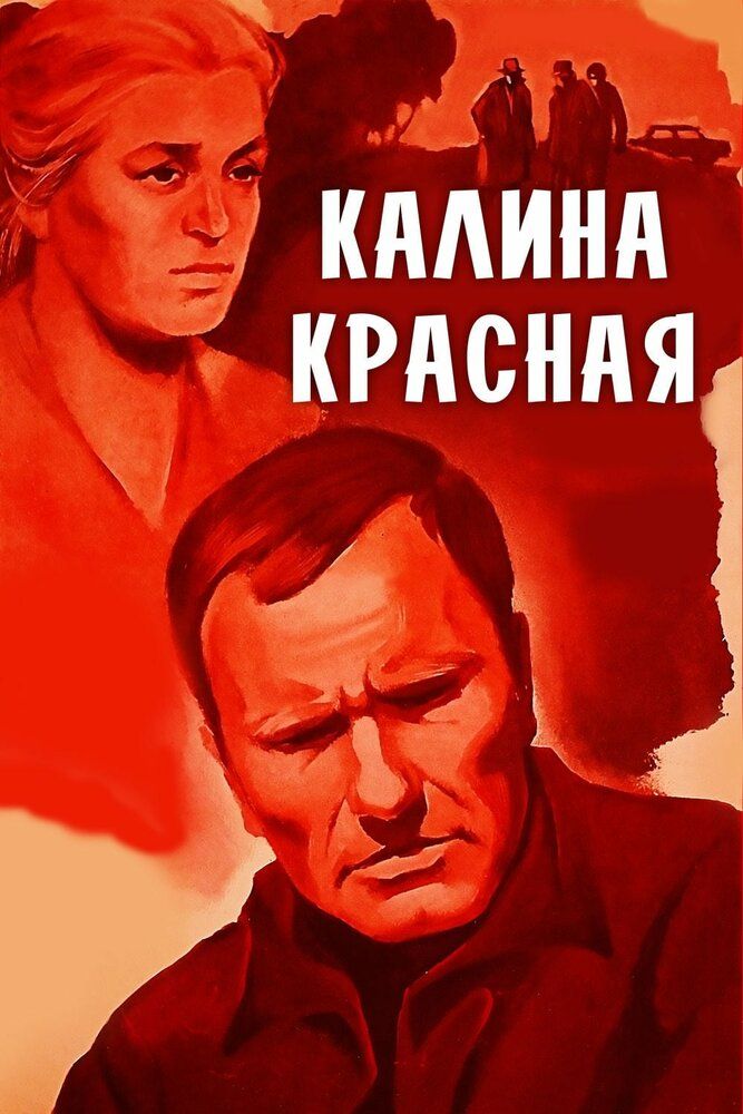 Qizil bodrezak / Qizil Kalina Uzbek Tilida