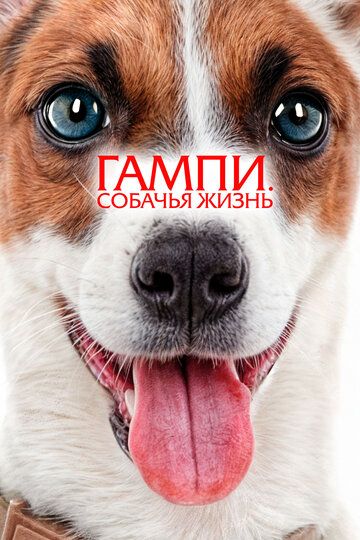 Gampi. Itlar hayoti / Gampining sarguzashtlari Uzbek Tilida